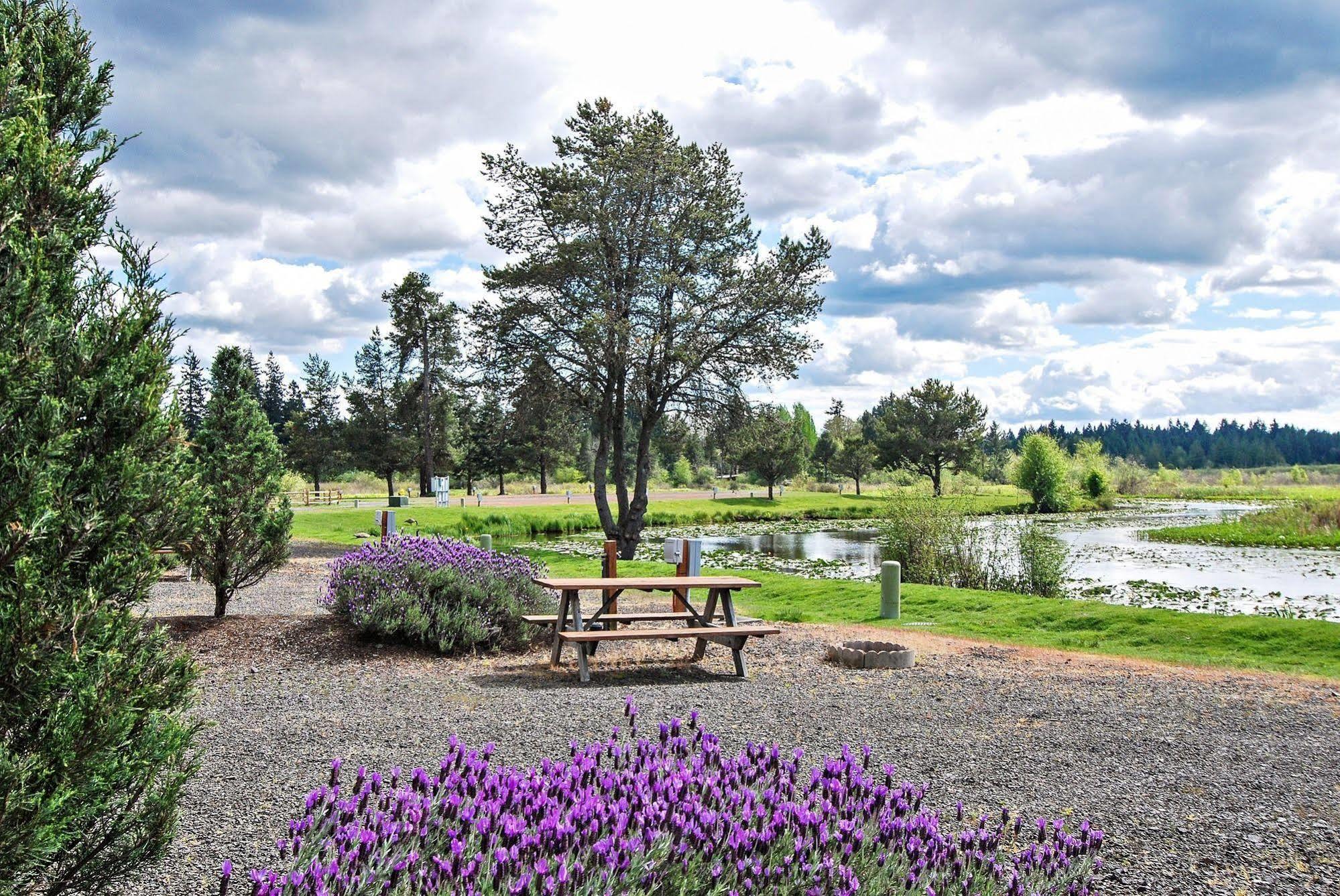 Silver Cove Rv Resort Silver Lake Exterior foto